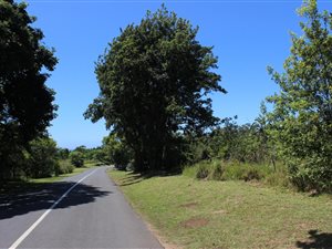 1121 m² Land available in Leisure Bay