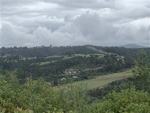 2567 m² Land available in Eastford Vale
