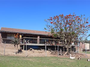 17.9 ha Farm in Gamtoos