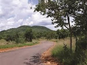 2500 m² Land available in Zwartkloof Private Game Reserve