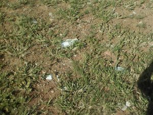 260 m² Land available in Soshanguve