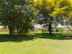 9.2 ha Farm in Boschkop