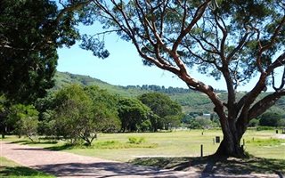 598 m² Land available in Lake Brenton