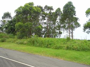 705 m² Land available in Sea Park