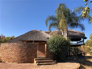 64 ha Farm in Koster