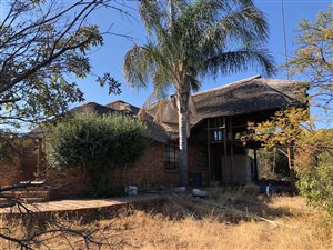64 ha Farm in Koster