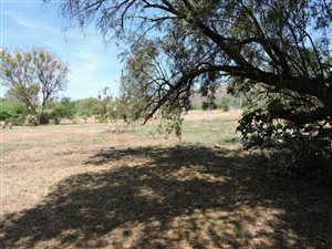99.8 ha Farm in Zeerust