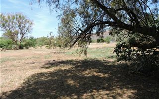 99.8 ha Farm in Zeerust