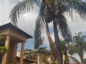 4 Bed Townhouse in Beyers Park