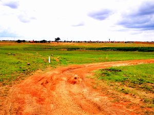 29 ha Farm in Rietfontein
