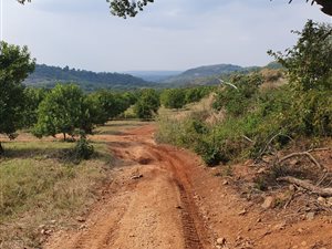 100 ha Farm in Hazyview