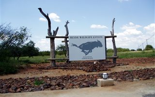 3000 m² Land available in Blyde Wildlife Estate