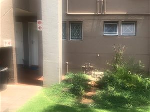 1 Bedroom Apartment in Berario