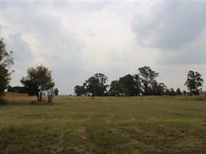 1908 m² Land available in Daggafontein