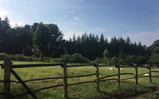 8.5 ha Farm in Howick