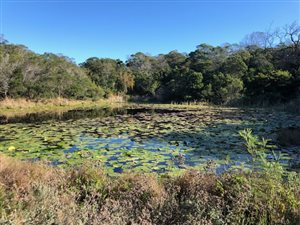1350 m² Land available in Kabeljous