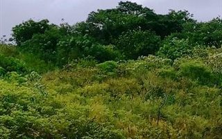 1720 m² Land available in Verulam