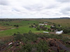 620 ha Farm in Petrusburg