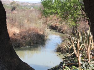 8.5 ha Farm in Broederstroom