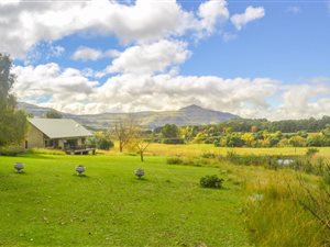 4 ha Smallholding in Underberg