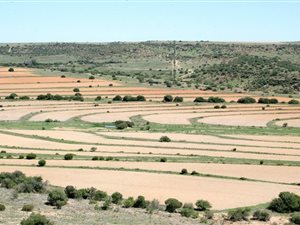 Game Farm in Lady Grey