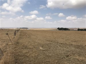 43 ha Farm in Bapsfontein