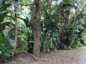 1046 m² Land available in Leisure Bay