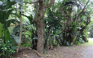 1046 m² Land available in Leisure Bay