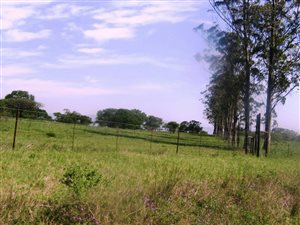 17.1 ha Land available in Ashburton