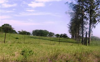 17.1 ha Land available in Ashburton