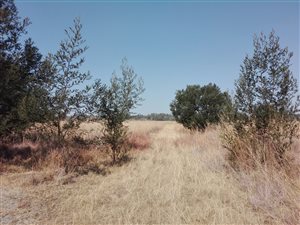 5 ha Farm in Donkerhoek
