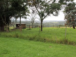 21 ha Farm in Beacon Bay