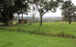 21 ha Farm in Beacon Bay