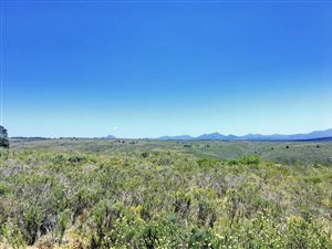300 m² Land available in Gondwana Game Reserve