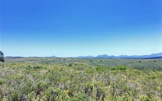 300 m² Land available in Gondwana Game Reserve