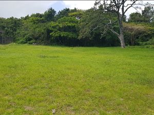 961 m² Land available in Veld En Vlei