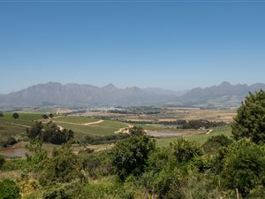 1.9 ha Farm in Stellenbosch Agricultural
