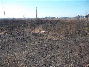 1090 m² Land available in Riversdale