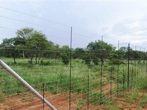 2 ha Farm in Mookgophong (Naboomspruit)