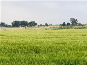 617 ha Farm in Ventersdorp