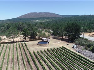 8 ha Farm in Bot River