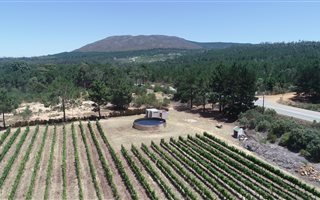 8 ha Farm in Bot River