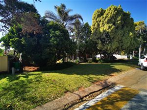 3 Bed House in Flora Park