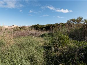 600 m² Land available in Bettys Bay