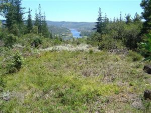 1248 m² Land available in Simola