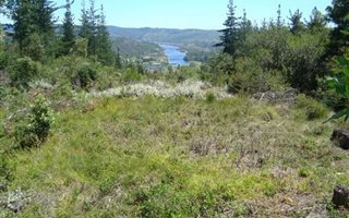 1248 m² Land available in Simola