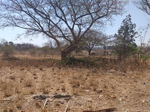 1 ha Land available in Ivy Park