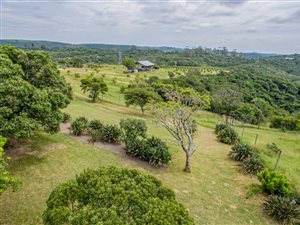 23 ha Farm in Dorchester Heights