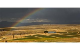 299 ha Land available in Heilbron