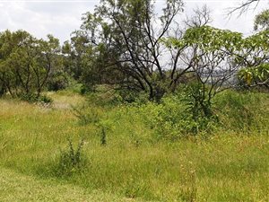 8565 m² Land available in Kyalami AH